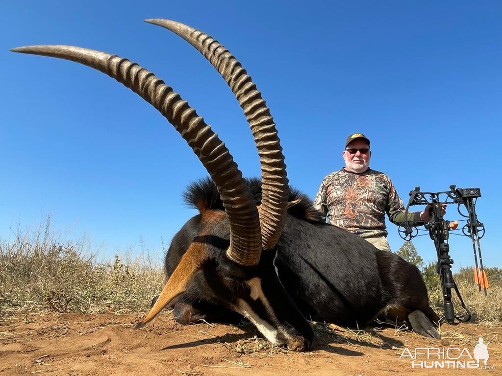 Sable Bow Hunting South Africa