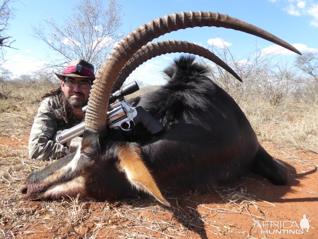 Sable Handgun Hunt South Africa