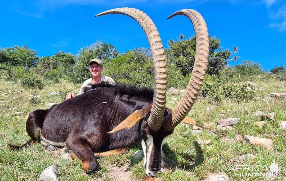 Sable Hunt Eastern Cape South Africa