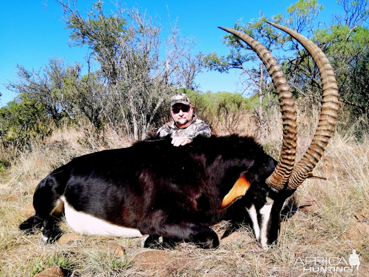 Sable Hunt Eastern Cape South Africa