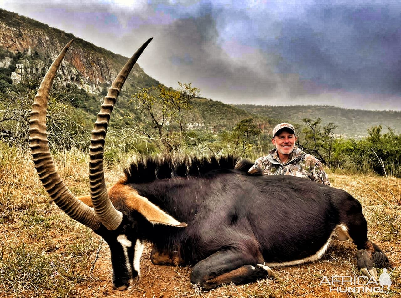 Sable Hunt Eastern Cape South Africa