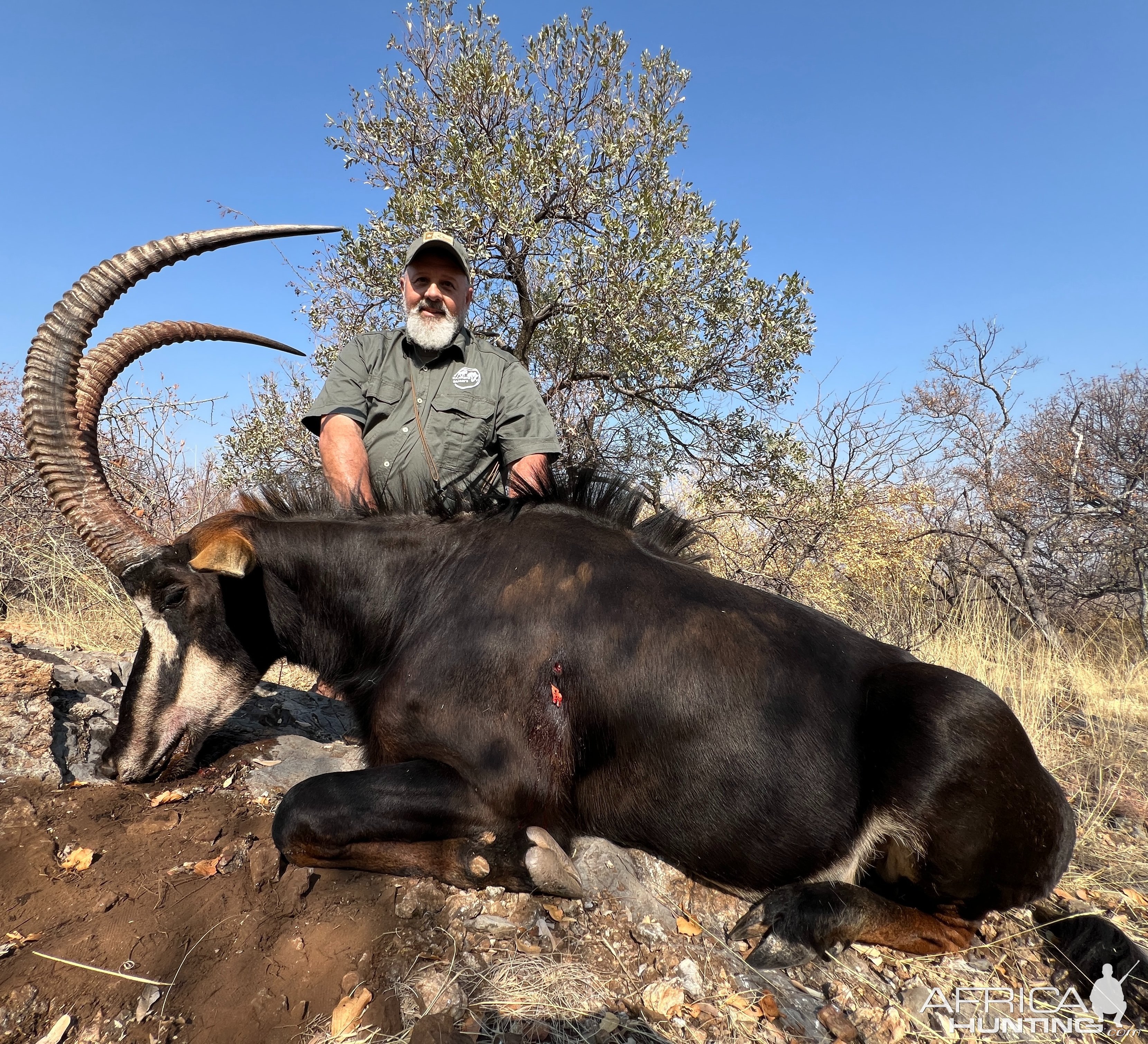 Sable Hunt Limpopo South Africa