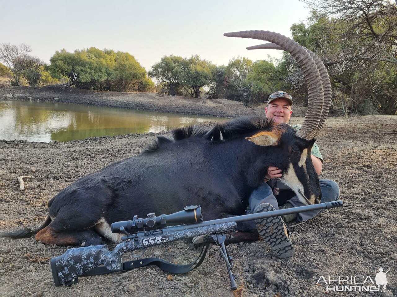 Sable Hunt South Africa