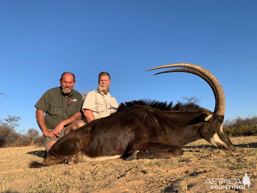 Sable Hunt South Africa