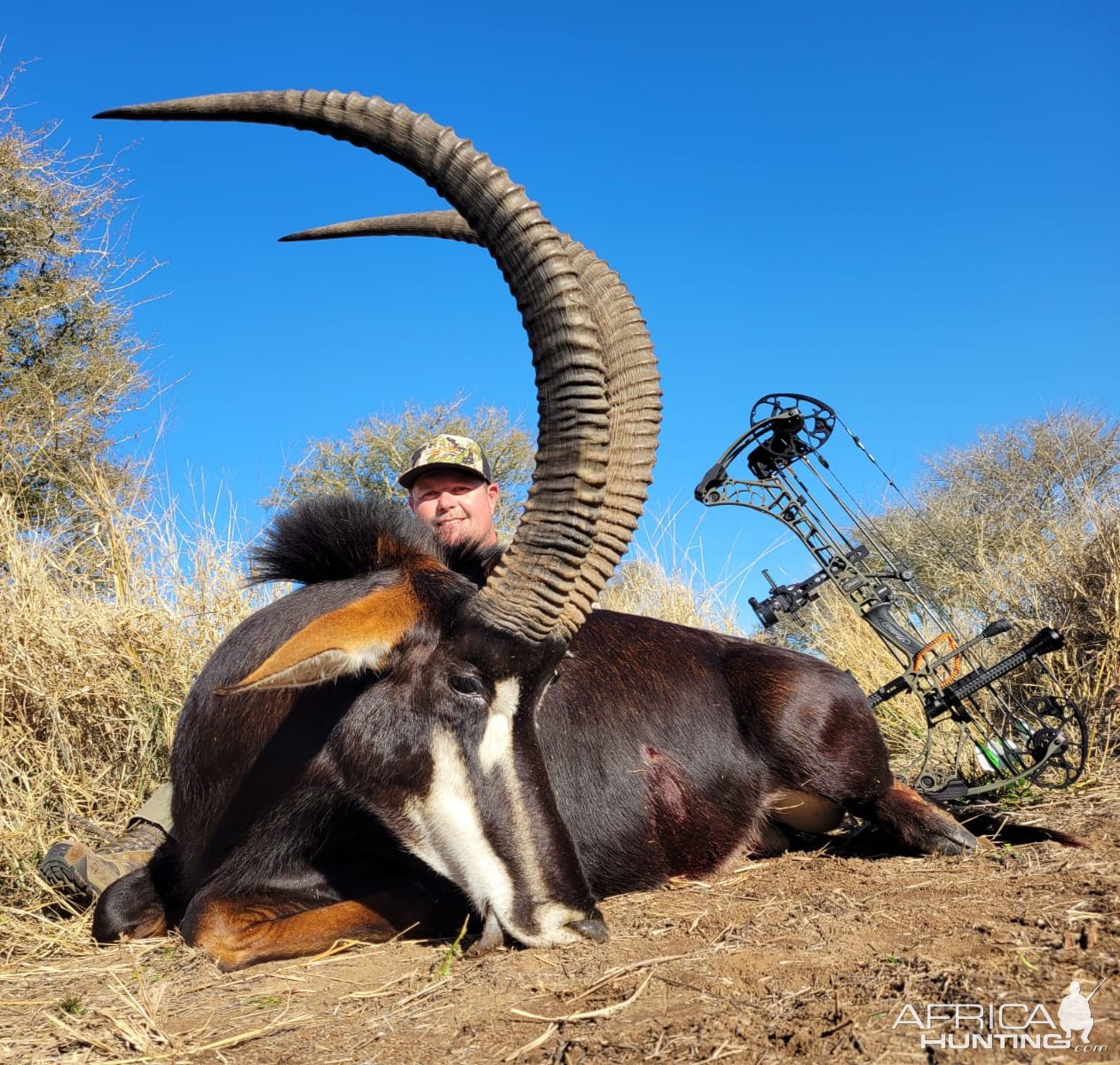 Sable Hunt South Africa