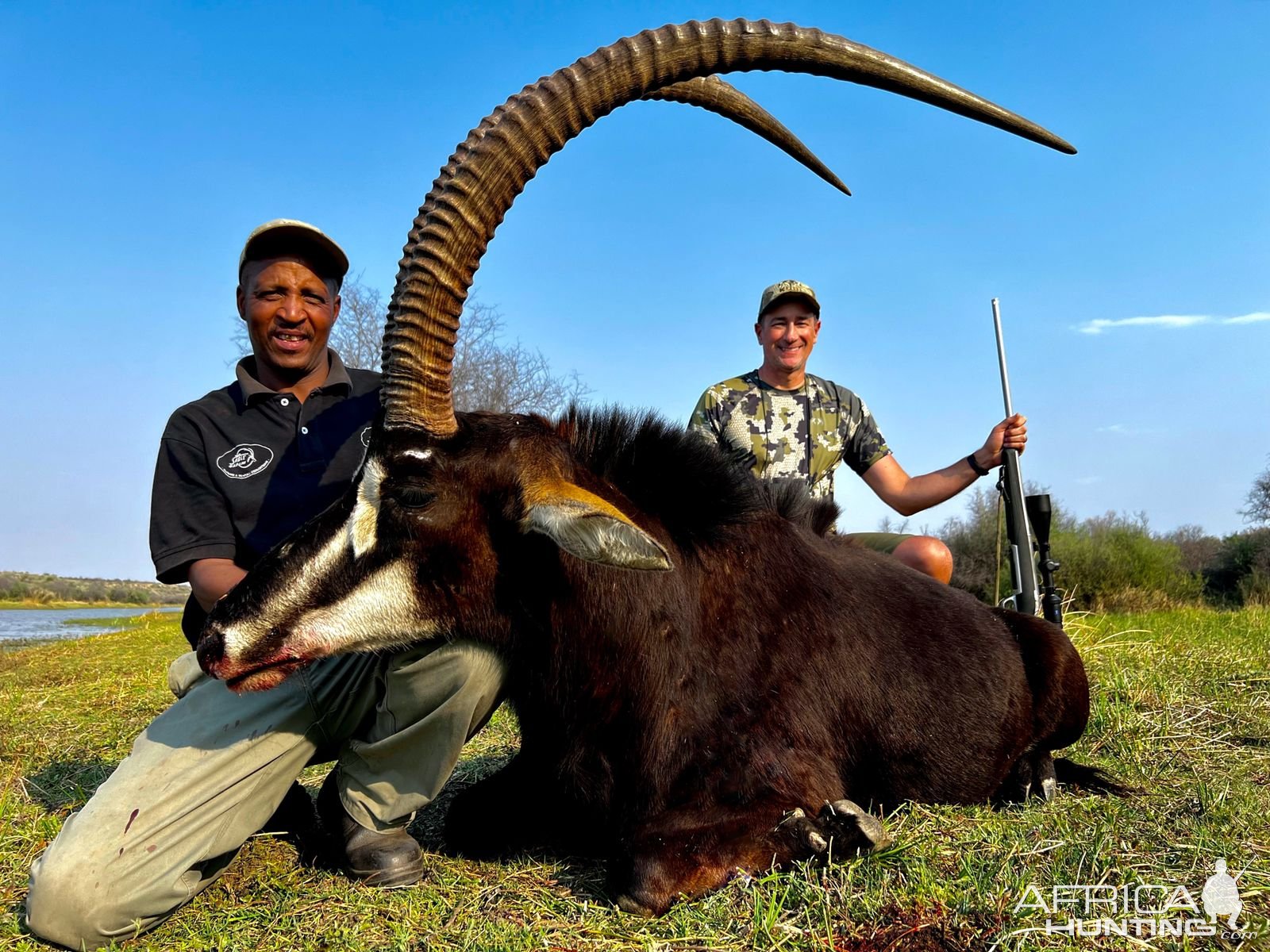 Sable Hunt South Africa