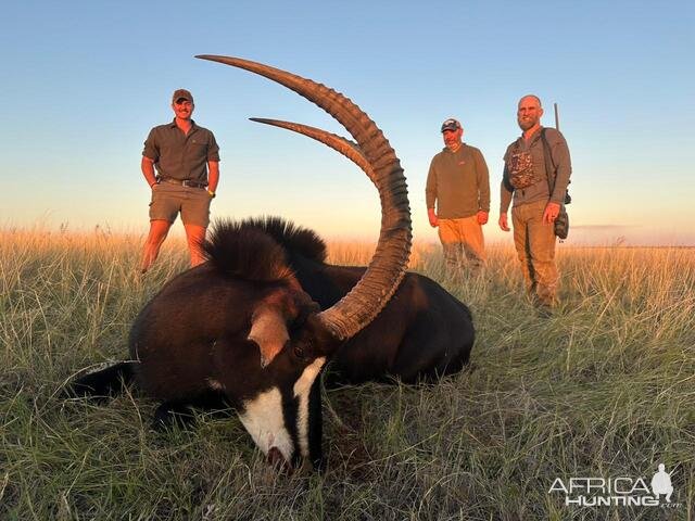 Sable Hunt South Africa