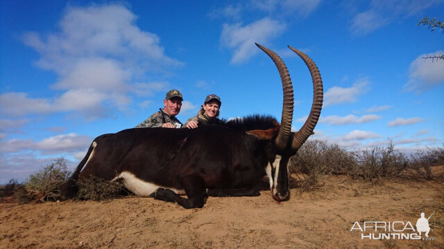 Sable Hunt South Africa