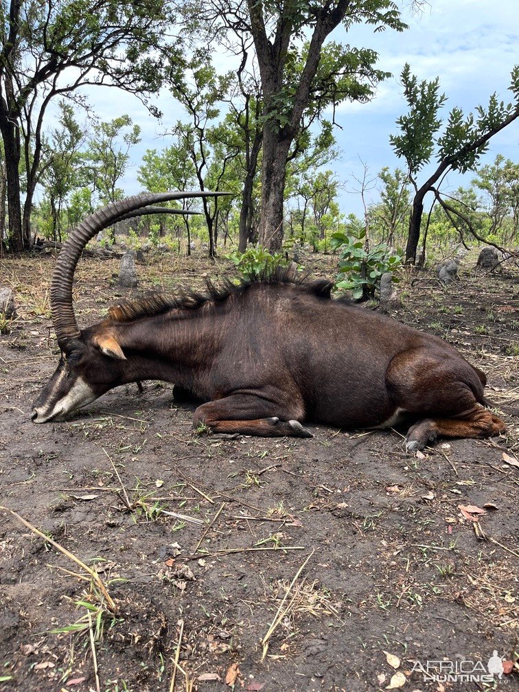 Sable Hunt Takeri Private Reserve Zambia