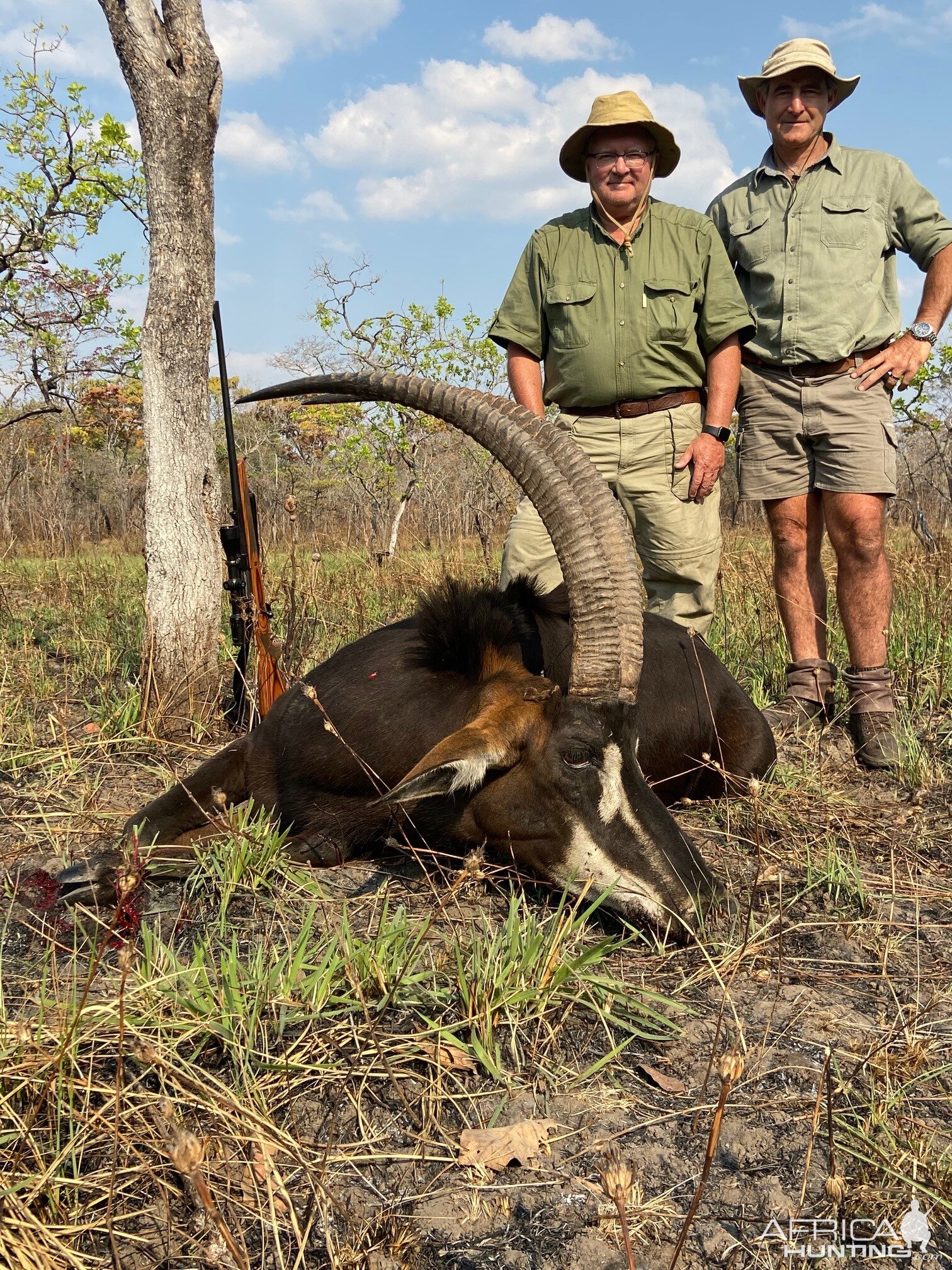 Sable Hunt Tanzania