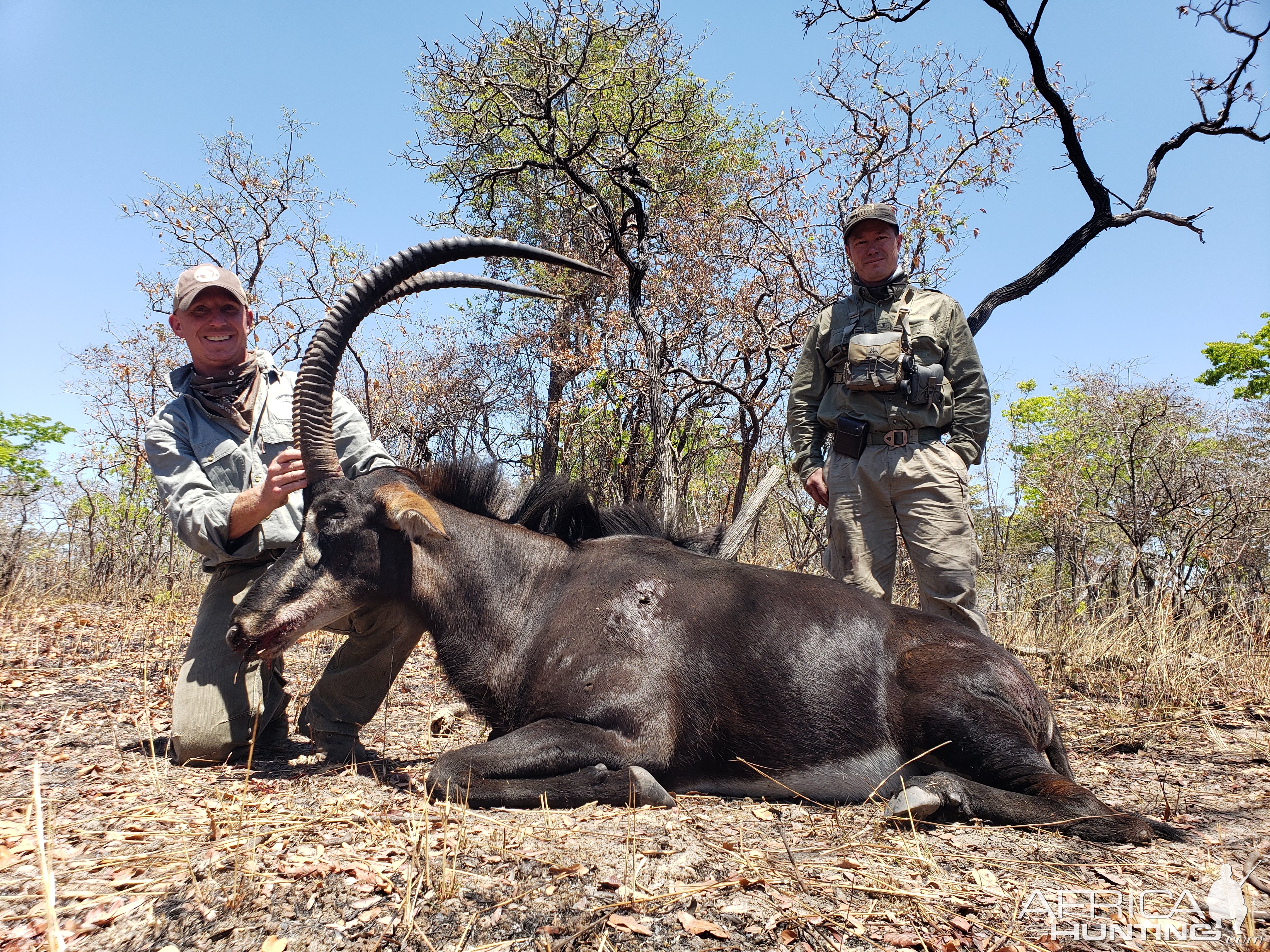 Sable Hunt Tanzania