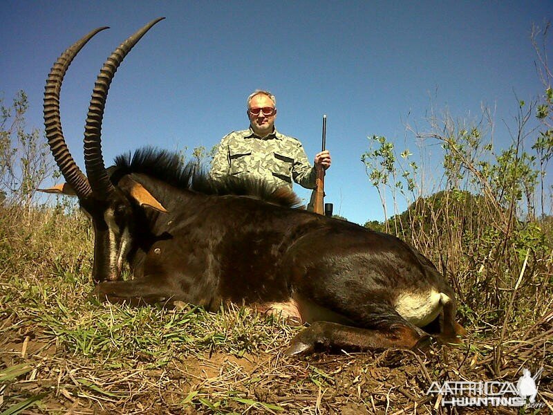 Sable hunt with Wintershoek Johnny Vivier Safaris