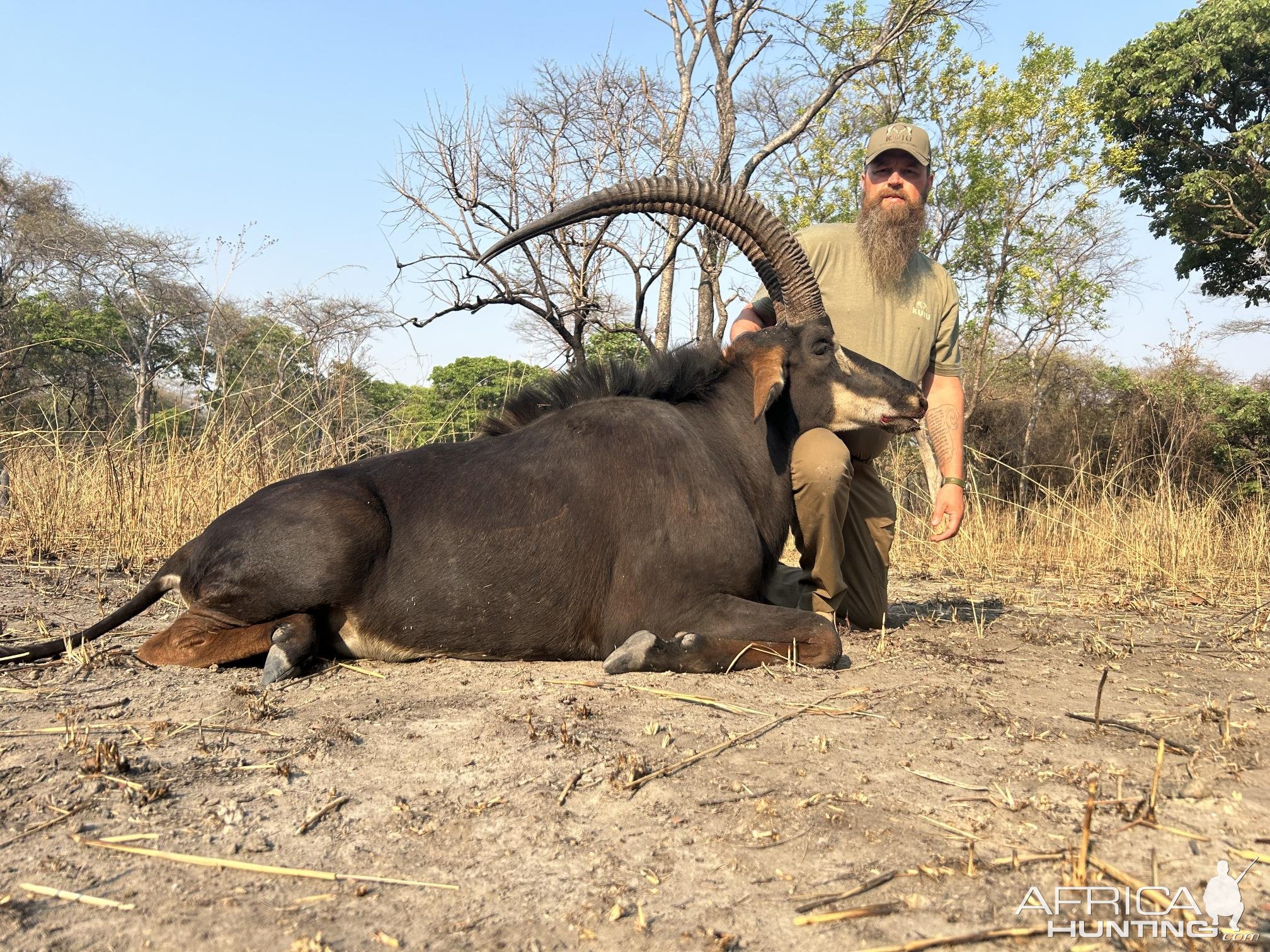 Sable Hunt Zambia