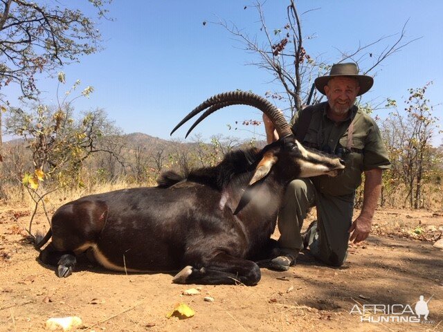 Sable Hunt Zimbabwe