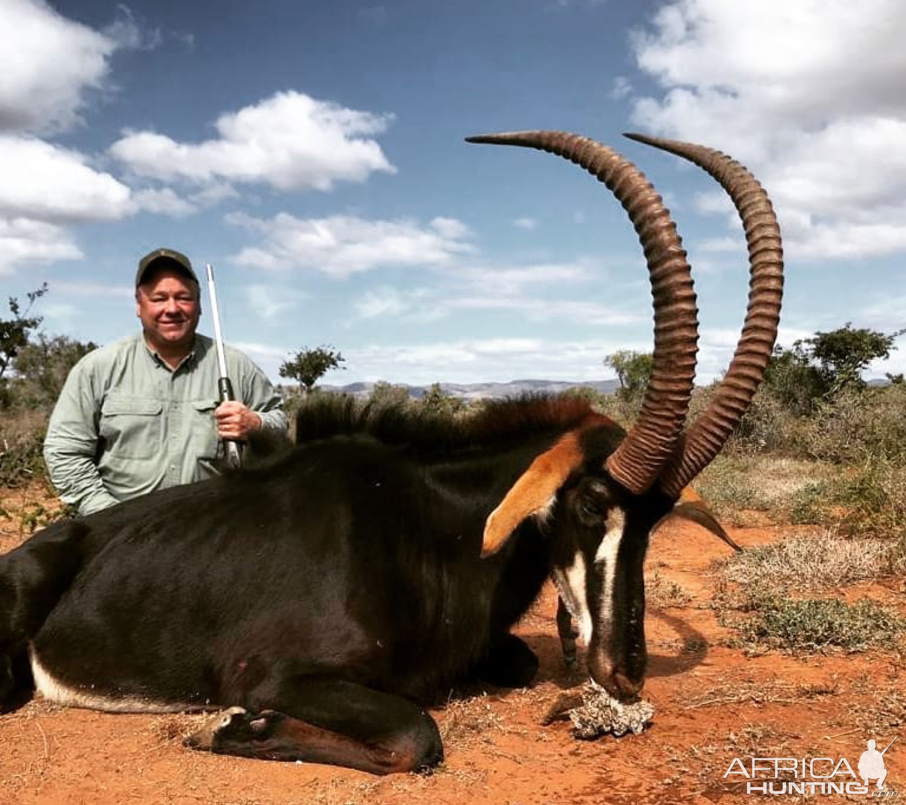 Sable Hunting Eastern Cape South Africa