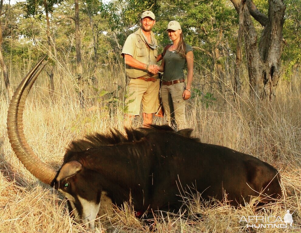 Sable Hunting in Mozambique