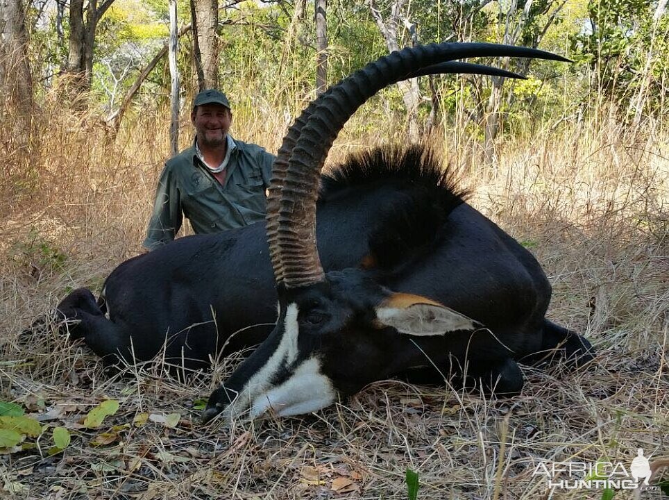 Sable Hunting in Mozambique