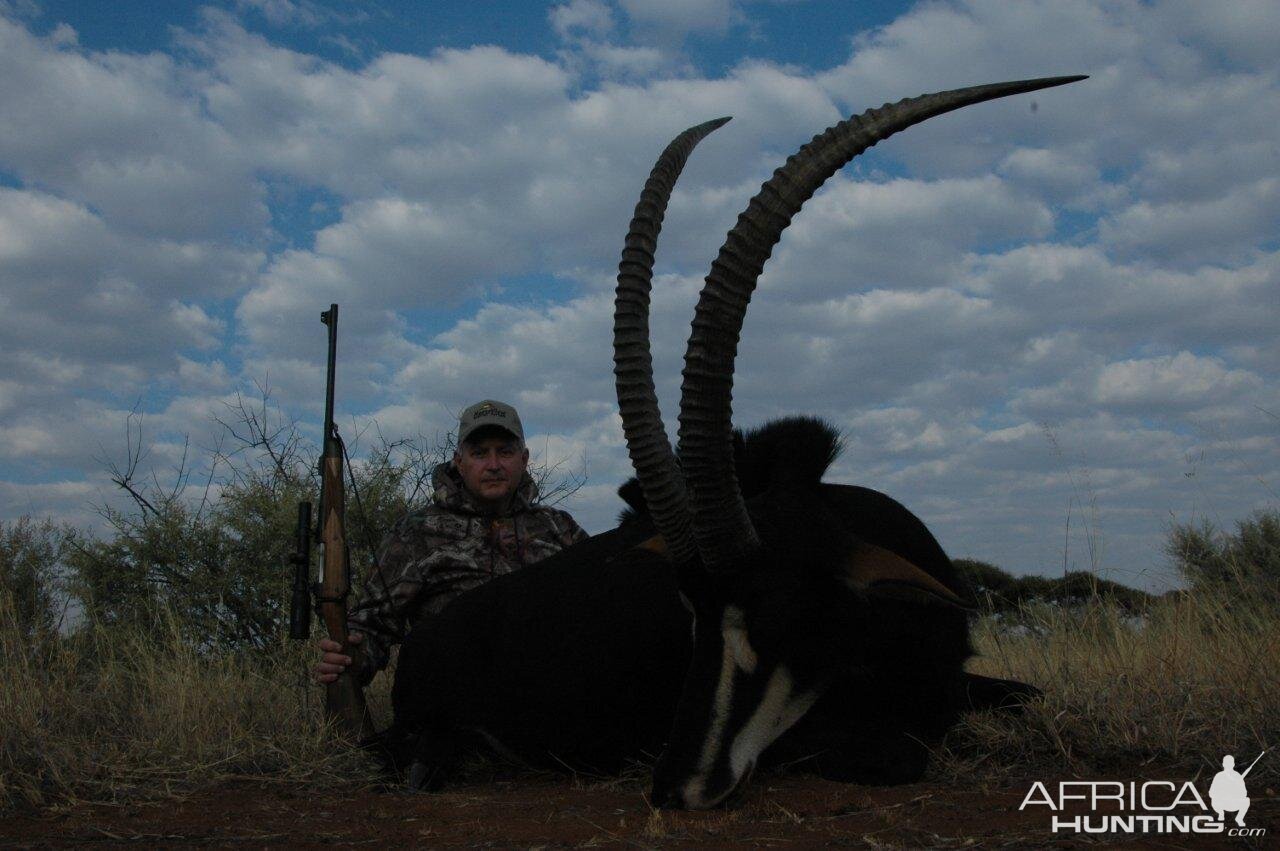 Sable Hunting in South Africa