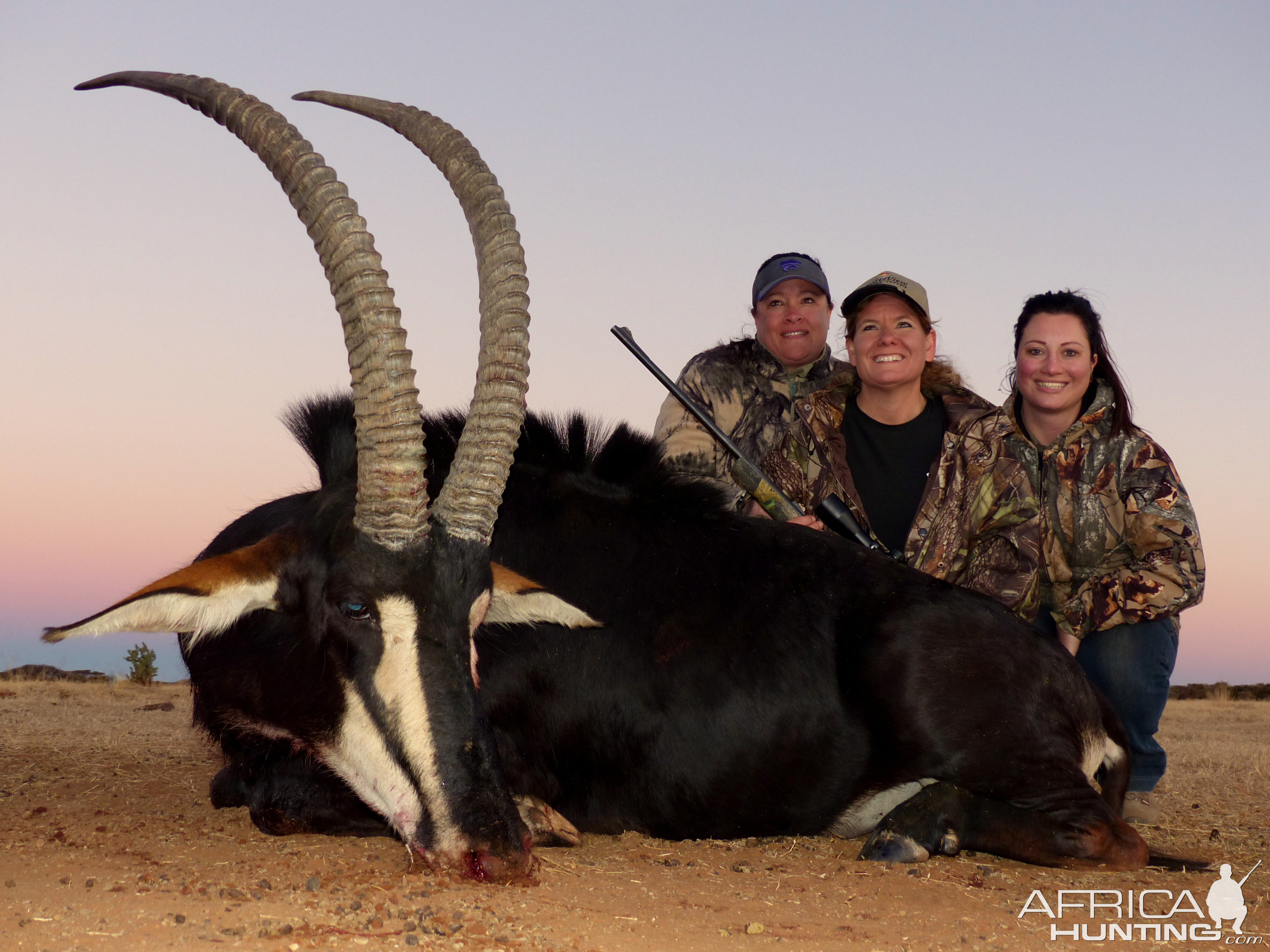 Sable Hunting in South Africa