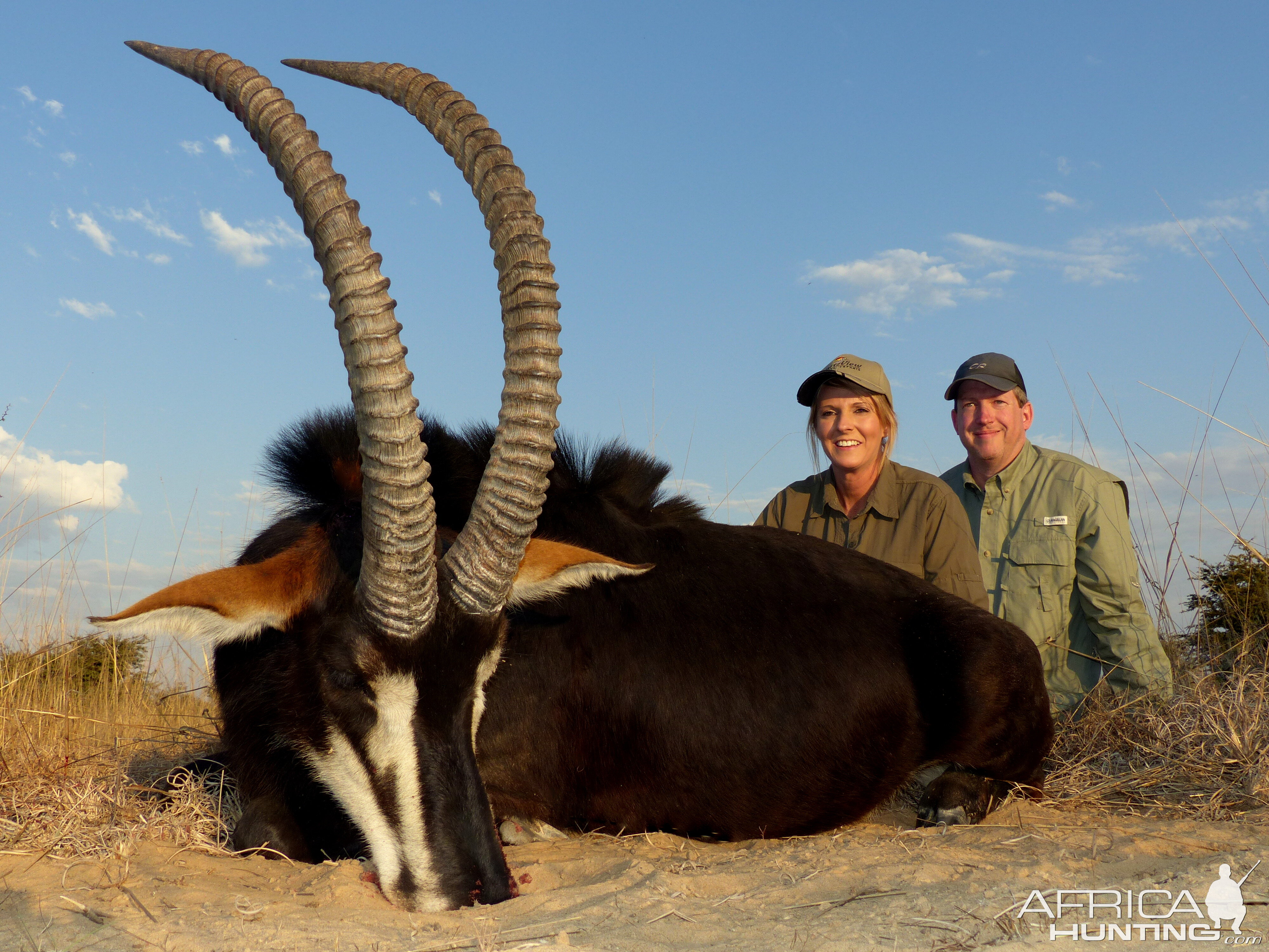 Sable Hunting in South Africa