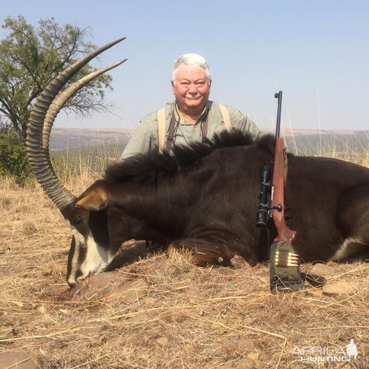 Sable Hunting in South Africa