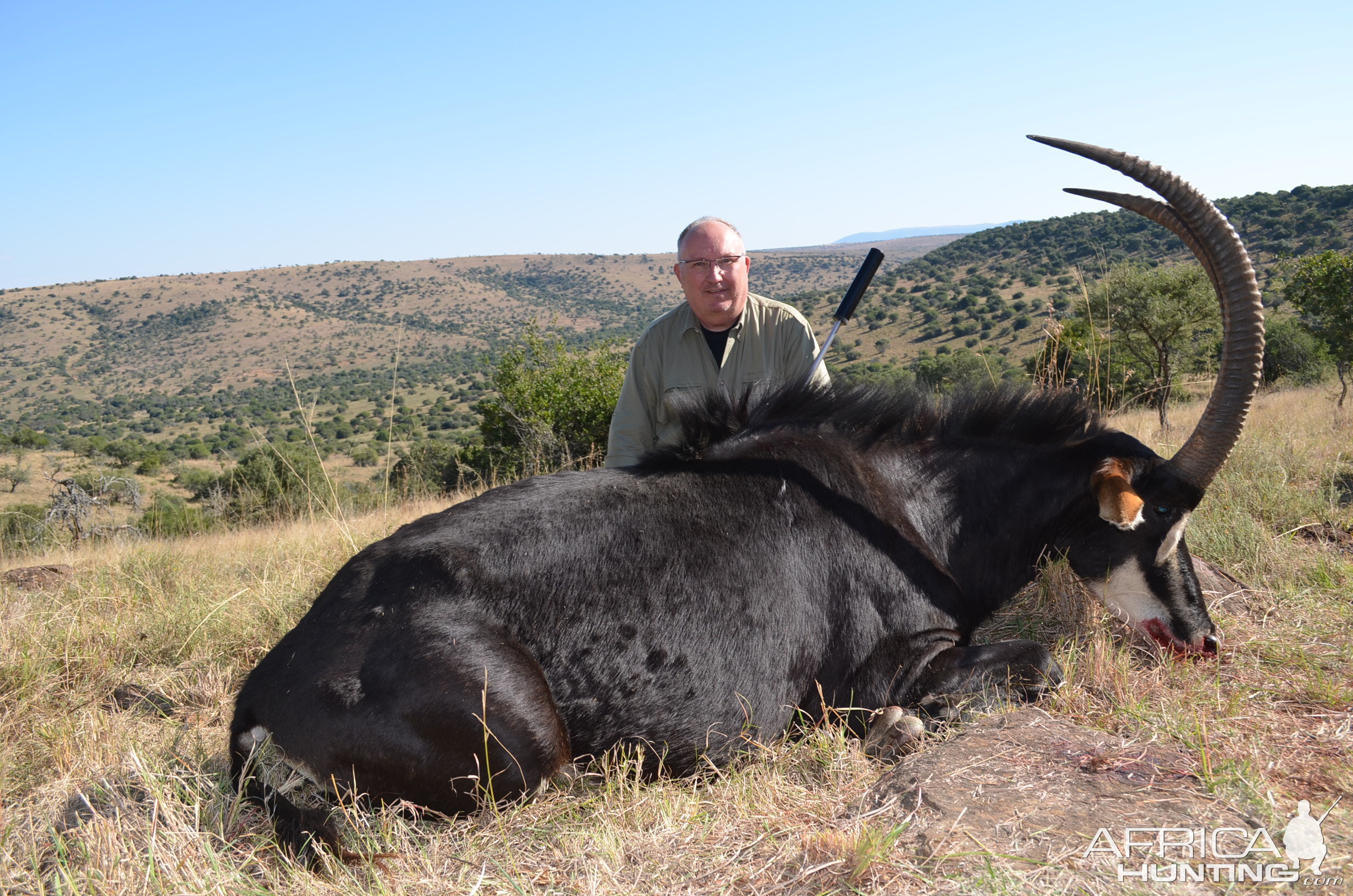 Sable Hunting in South Africa