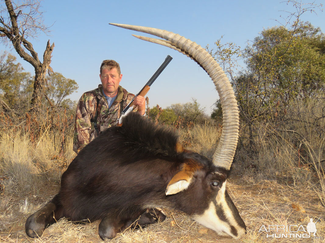 Sable Hunting in South Africa