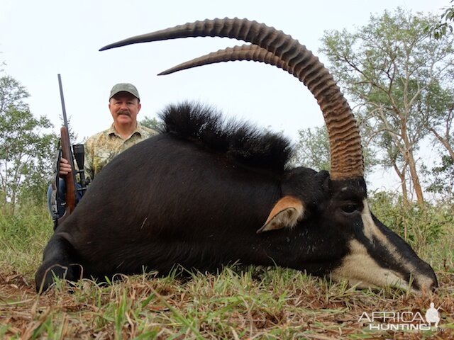 Sable Hunting in South Africa