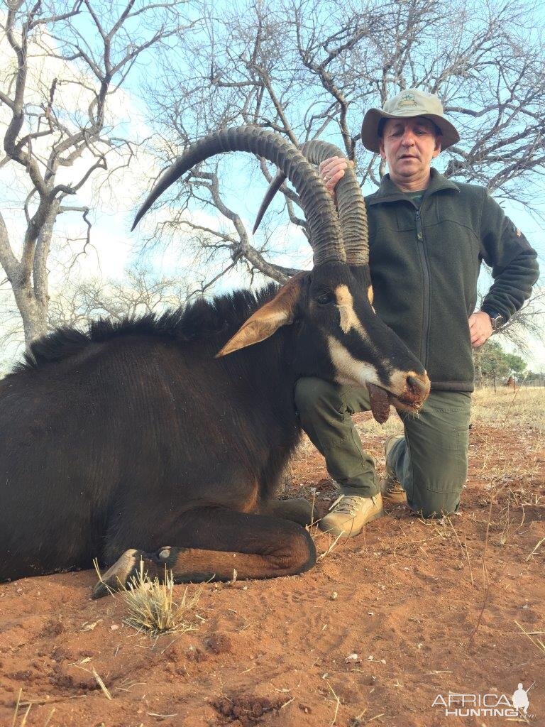 Sable Hunting in South Africa