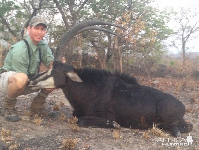 Sable Hunting in Zimbabwe