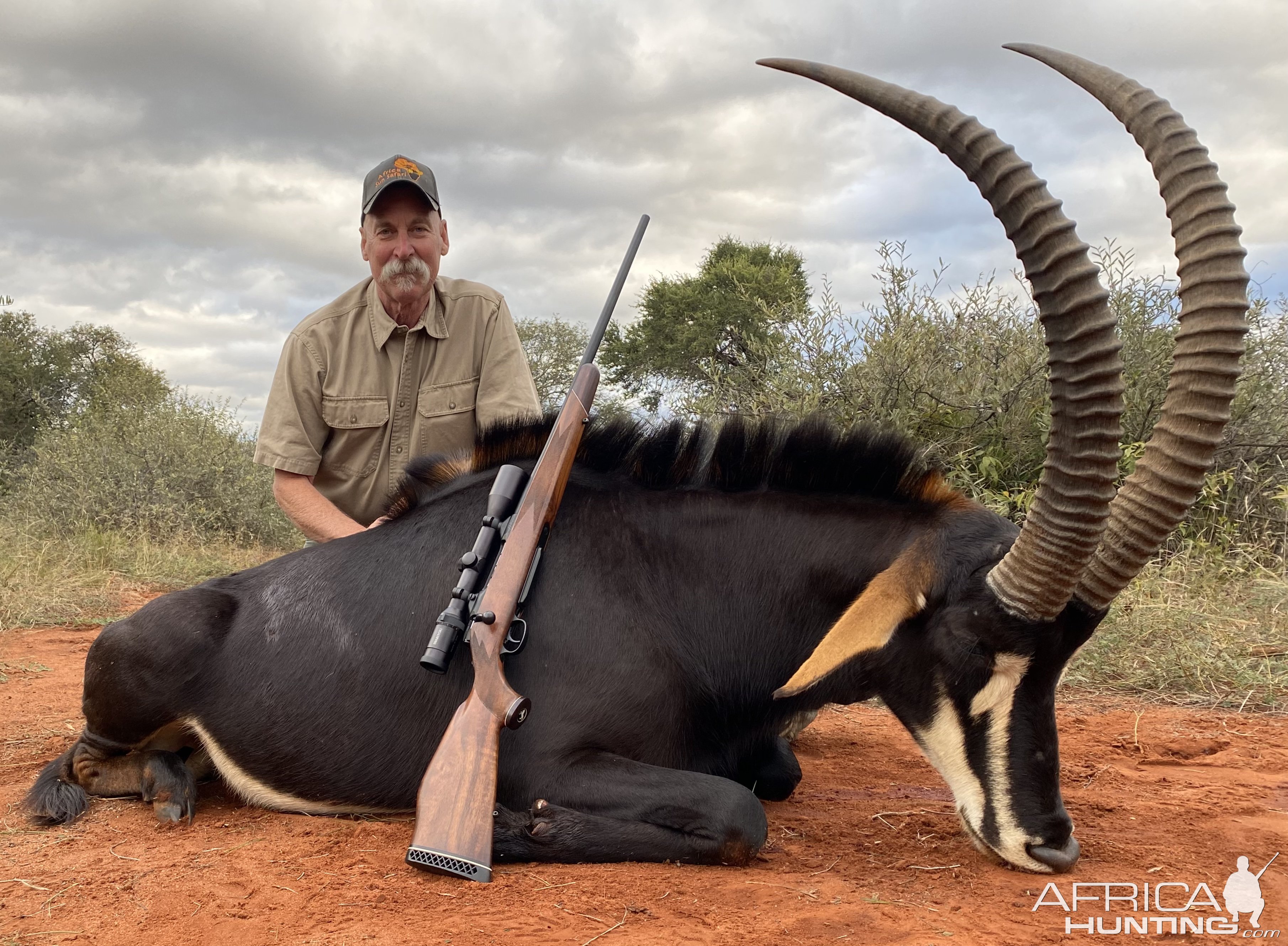 Sable Hunting Limpopo South Africa