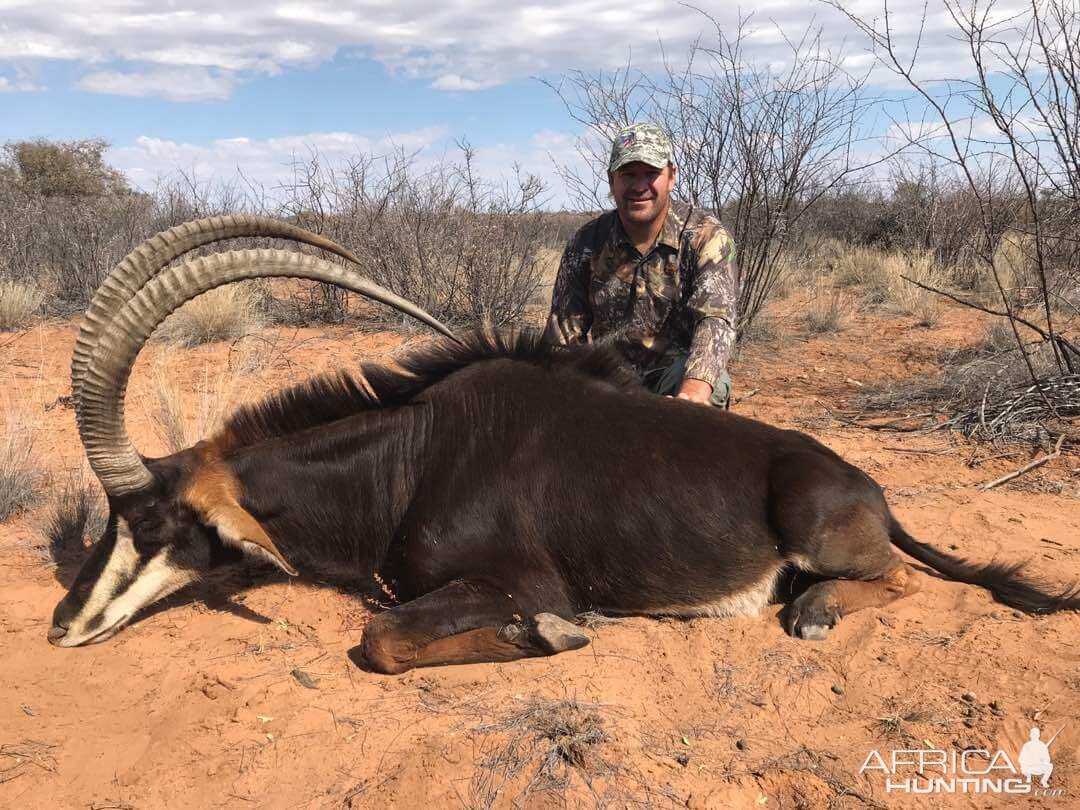 Sable Hunting Namibia