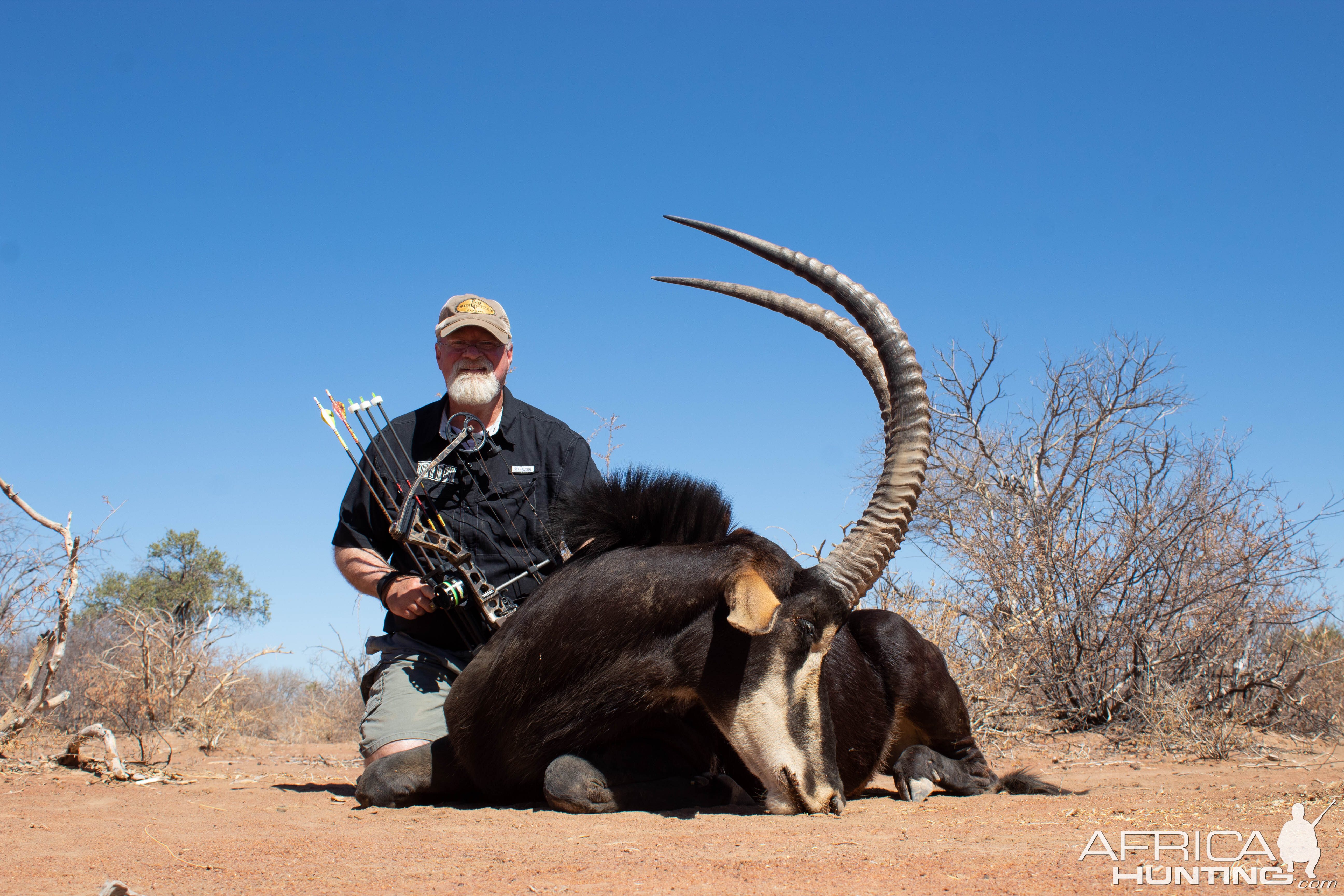 Sable Hunting South Africa