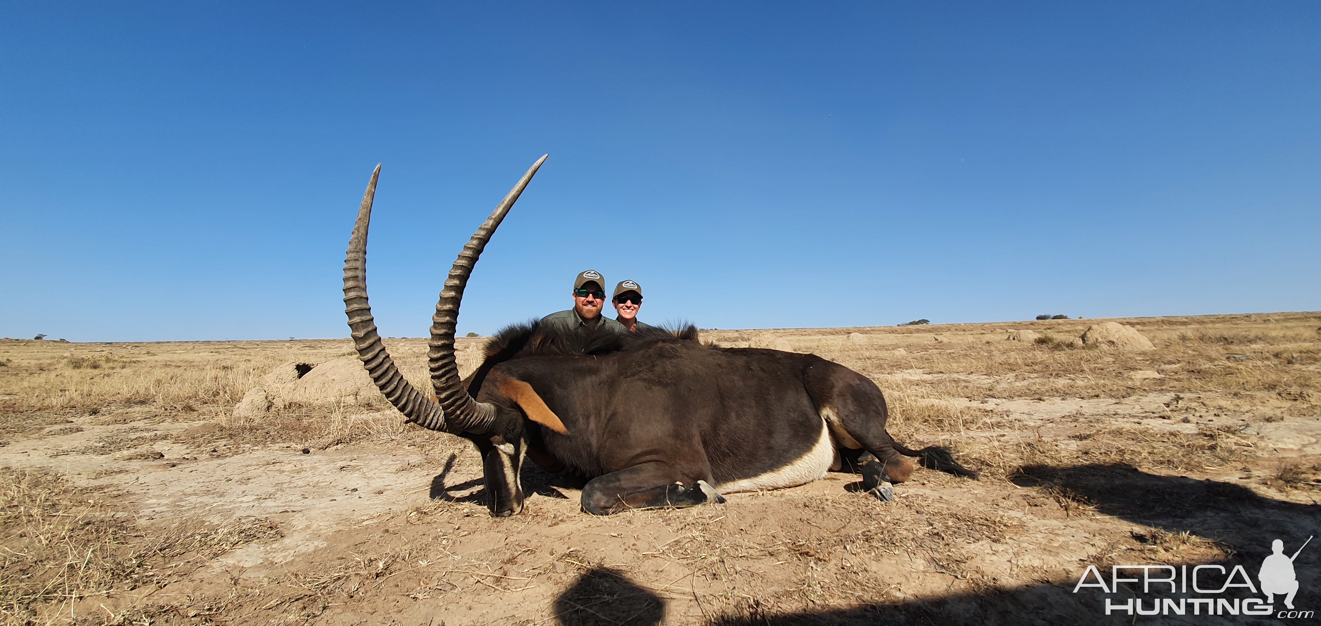 Sable Hunting South Africa