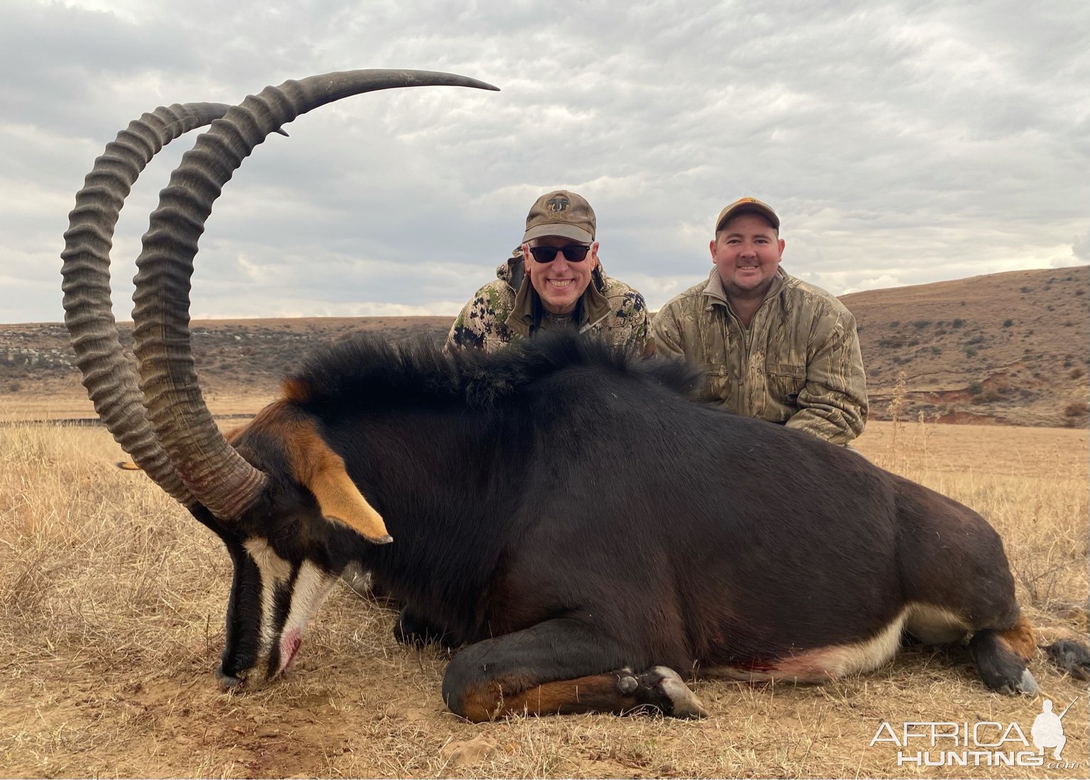 Sable Hunting South Africa