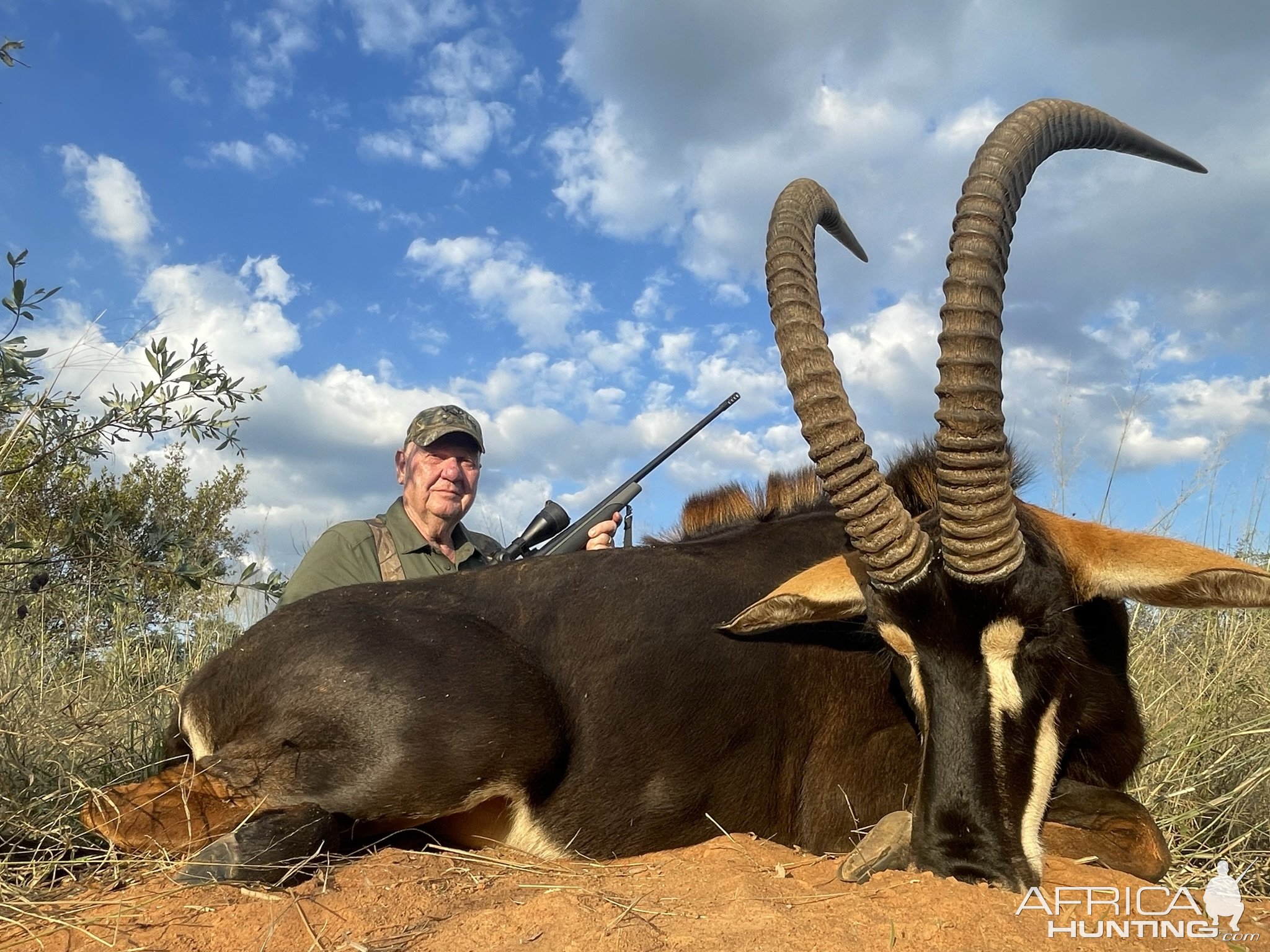 Sable Hunting South Africa