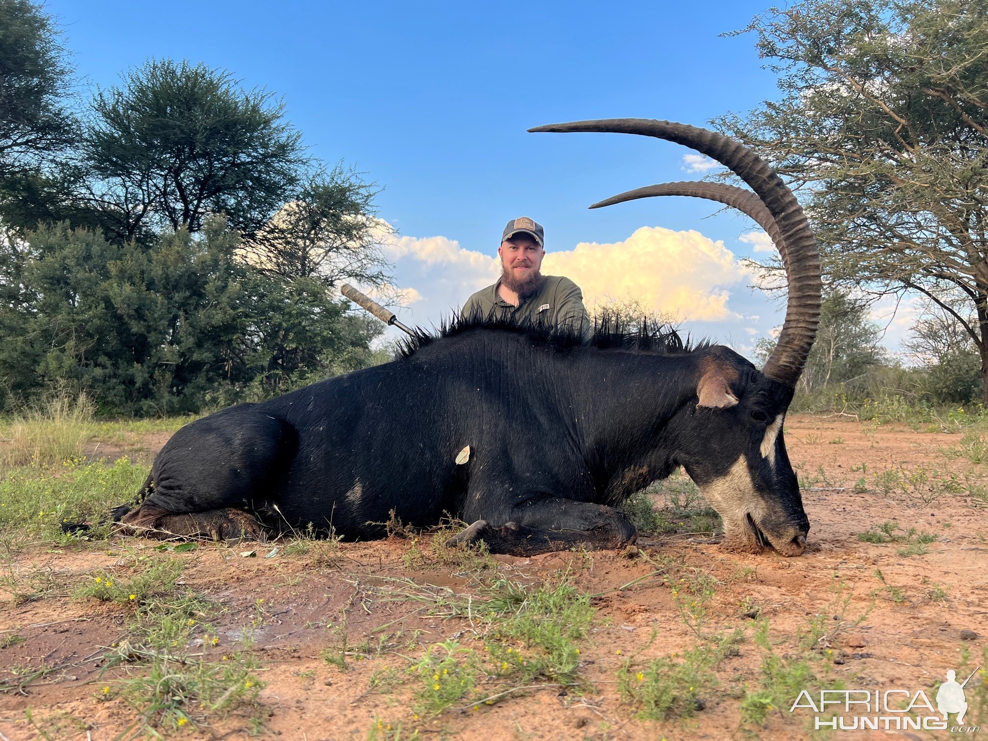 Sable Hunting South Africa