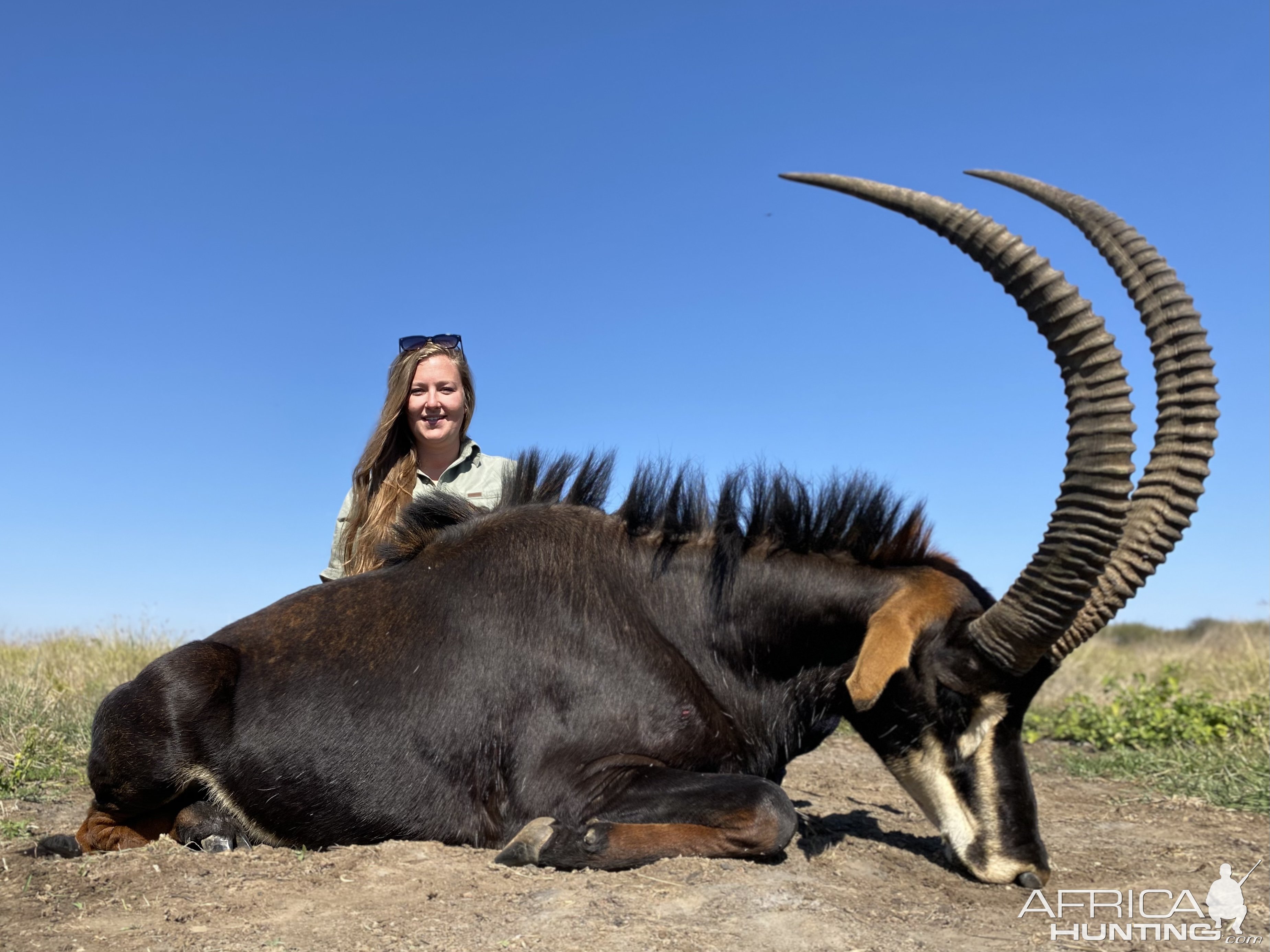 Sable Hunting South Africa