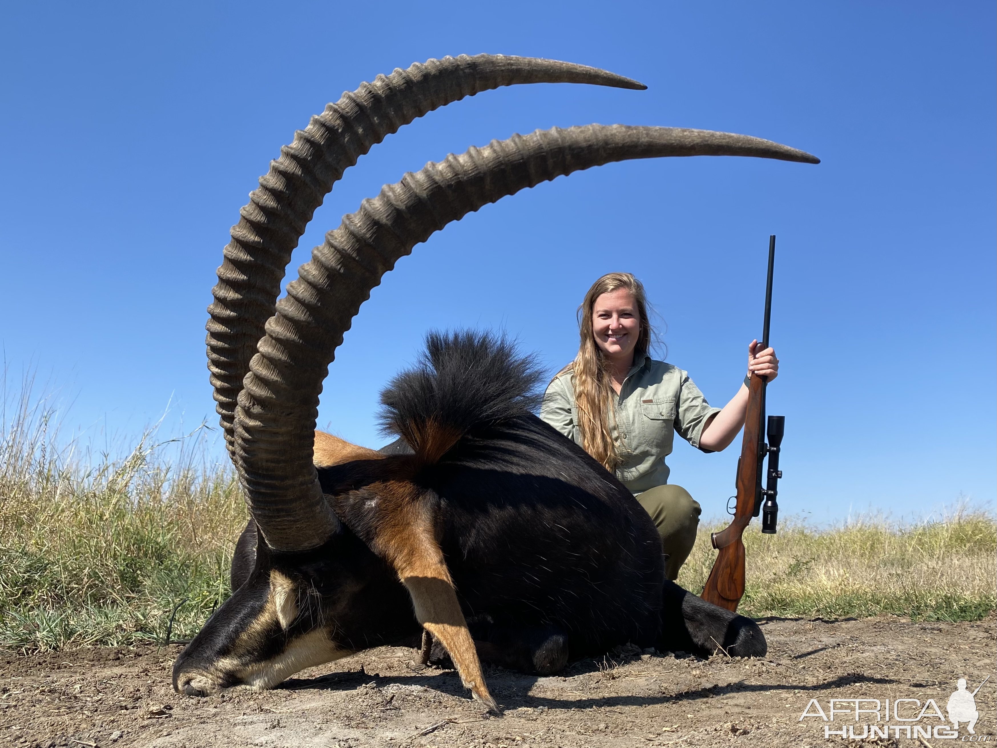 Sable Hunting South Africa