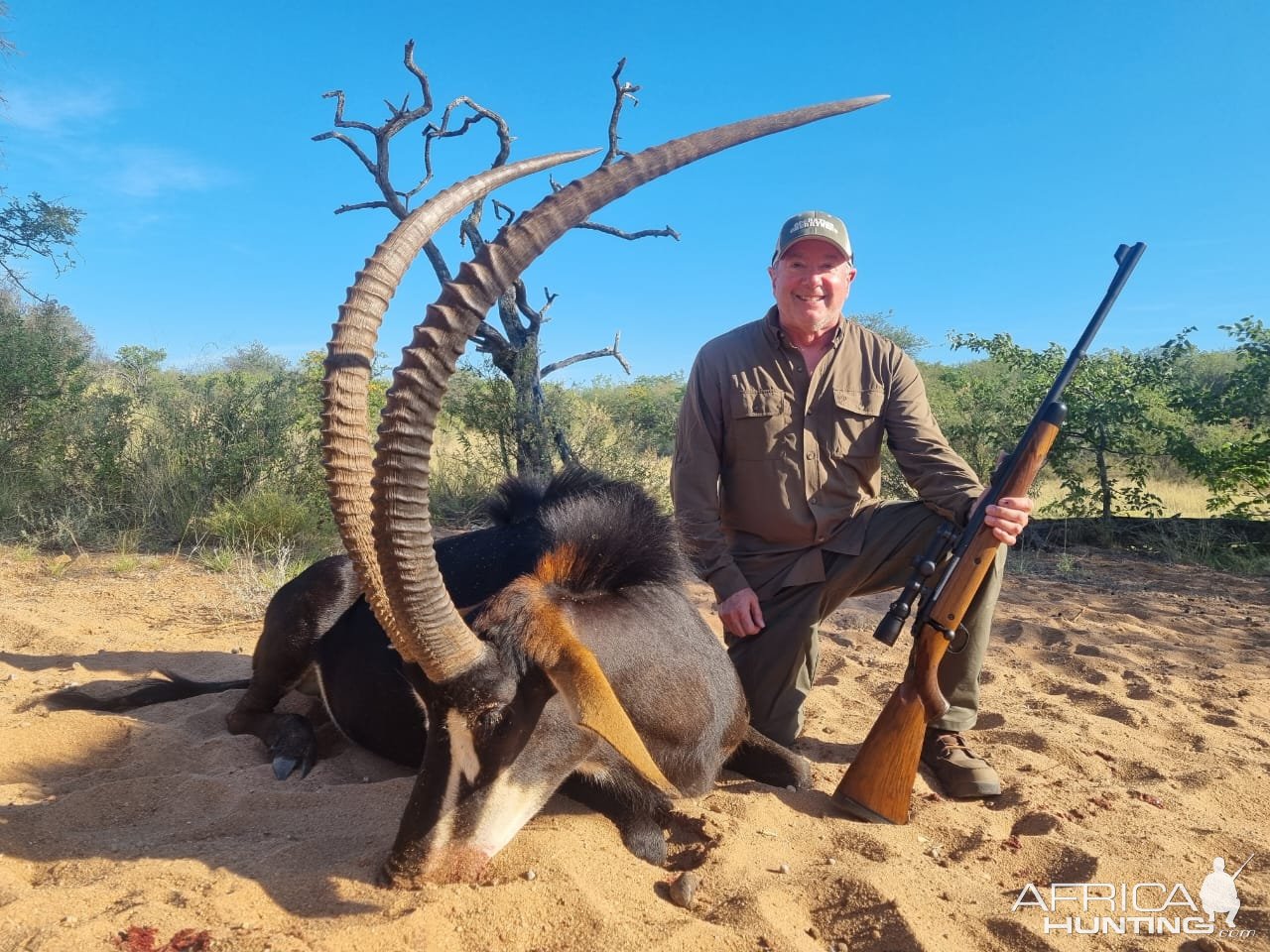 Sable Hunting South Africa