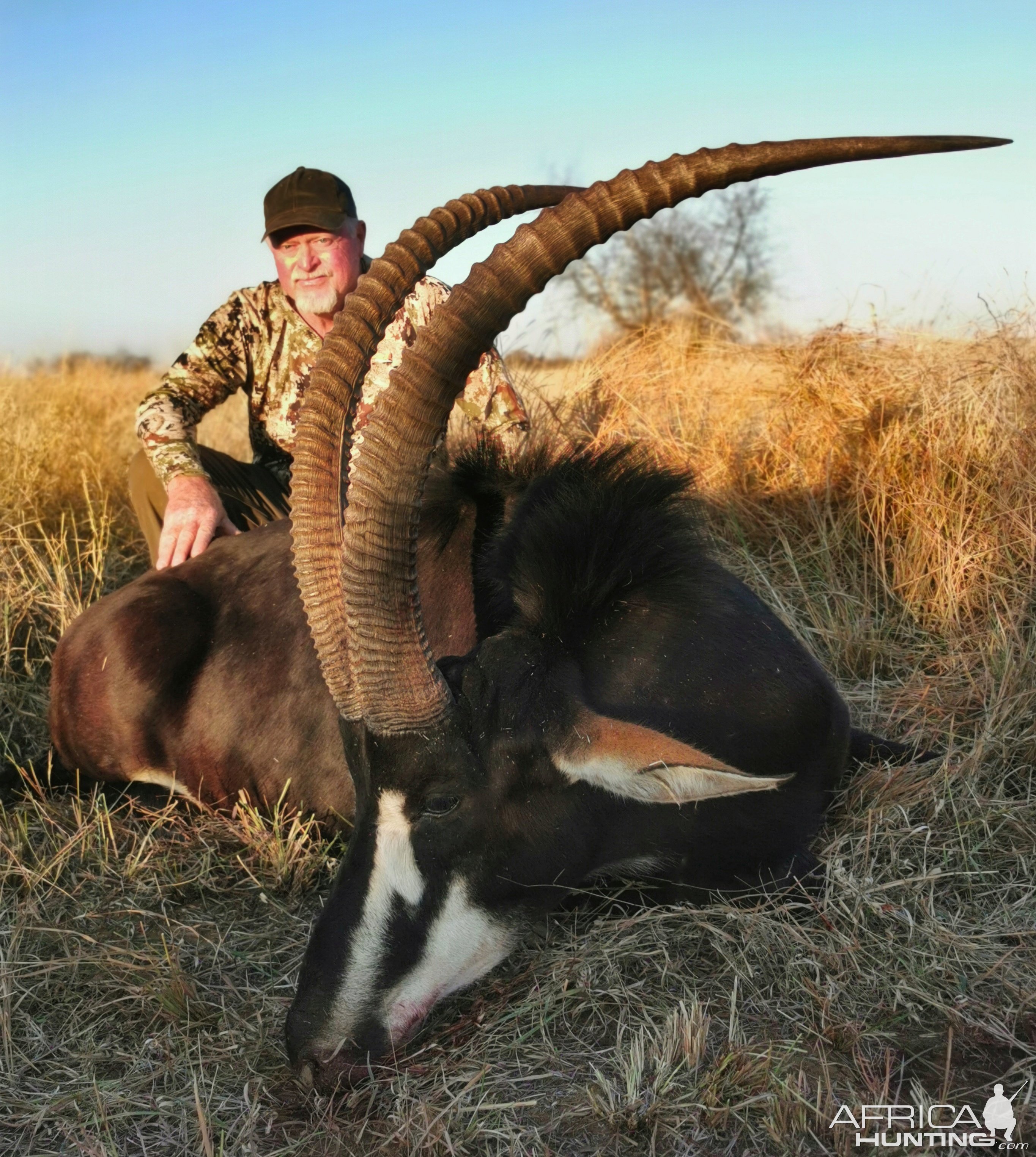 Sable Hunting South Africa