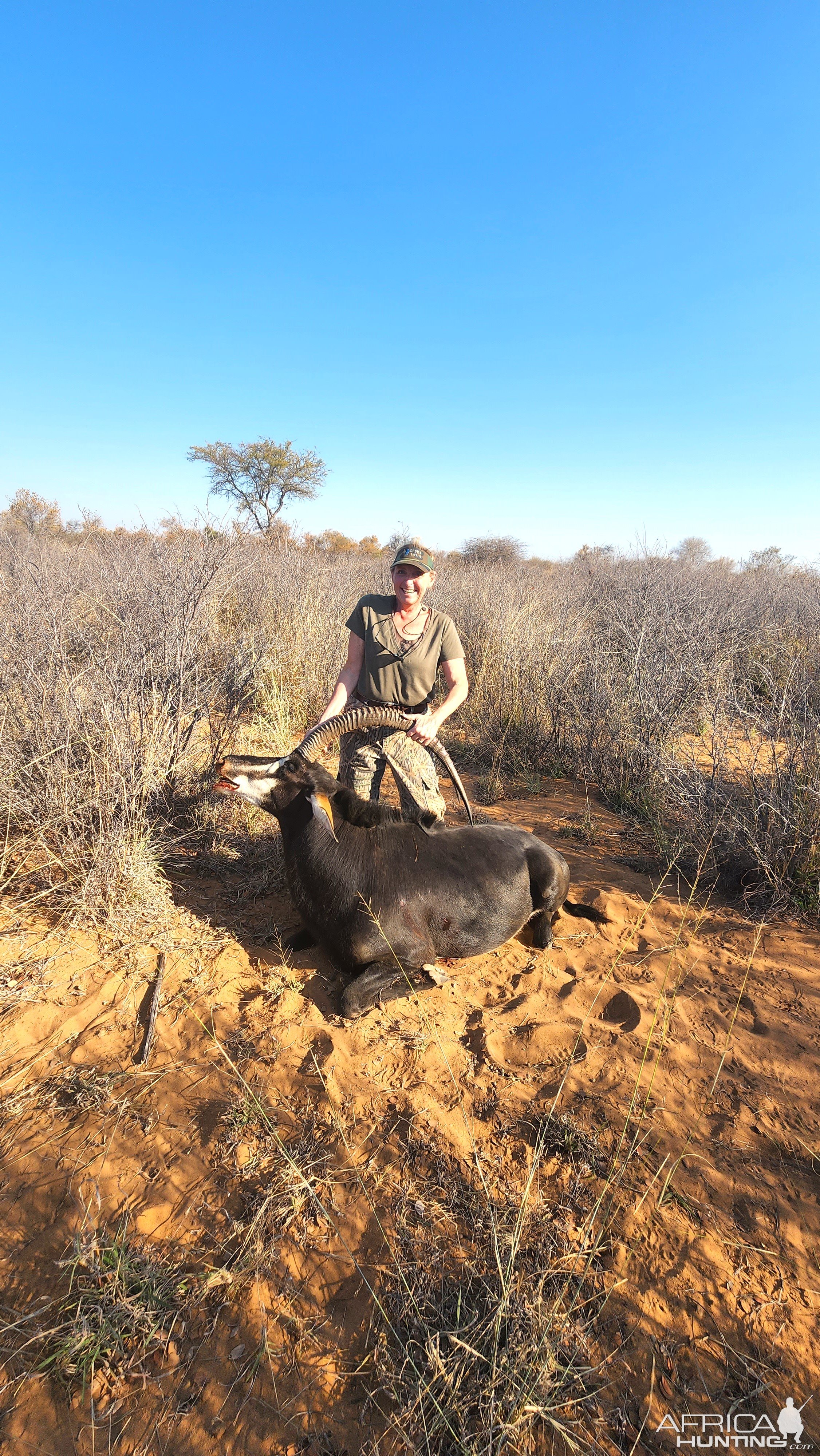 Sable Hunting South Africa