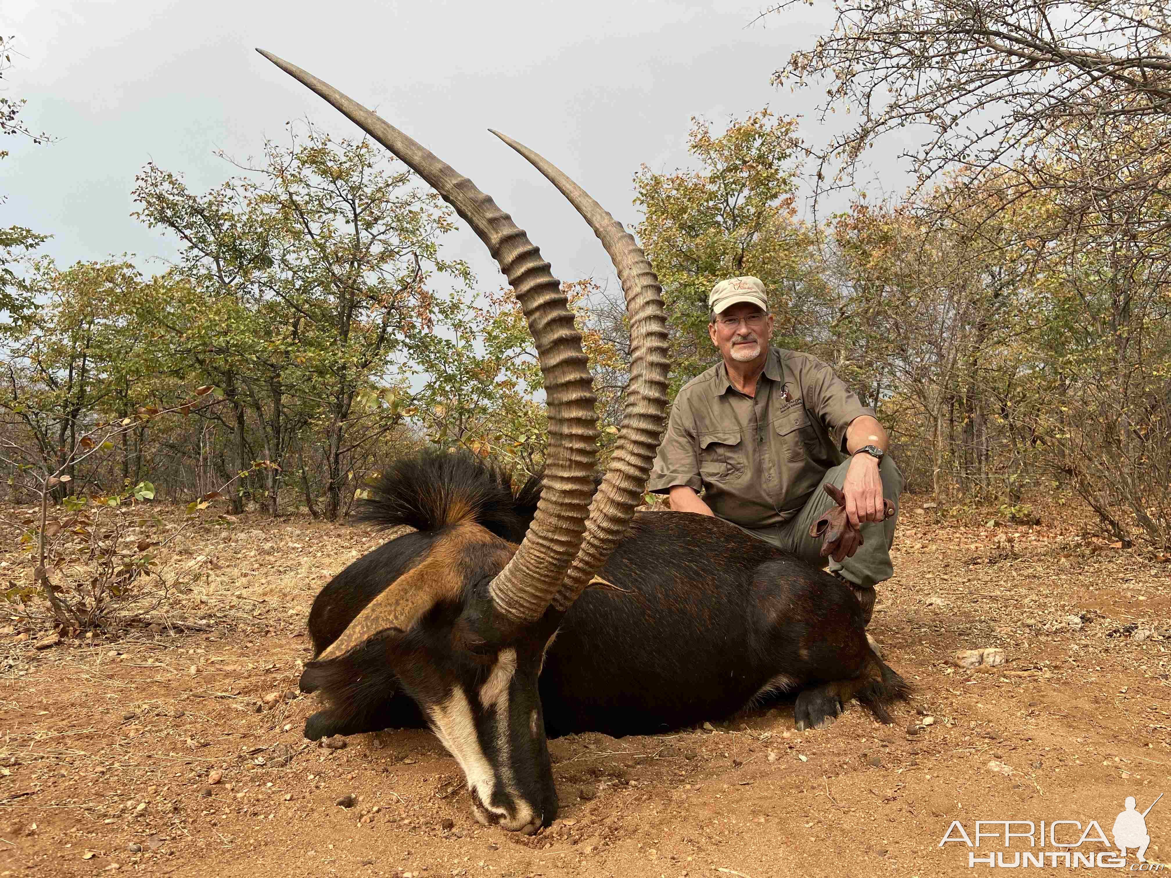 Sable Hunting South Africa