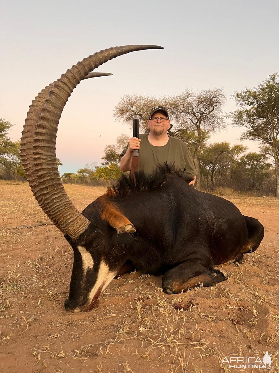 Sable Hunting South Africa