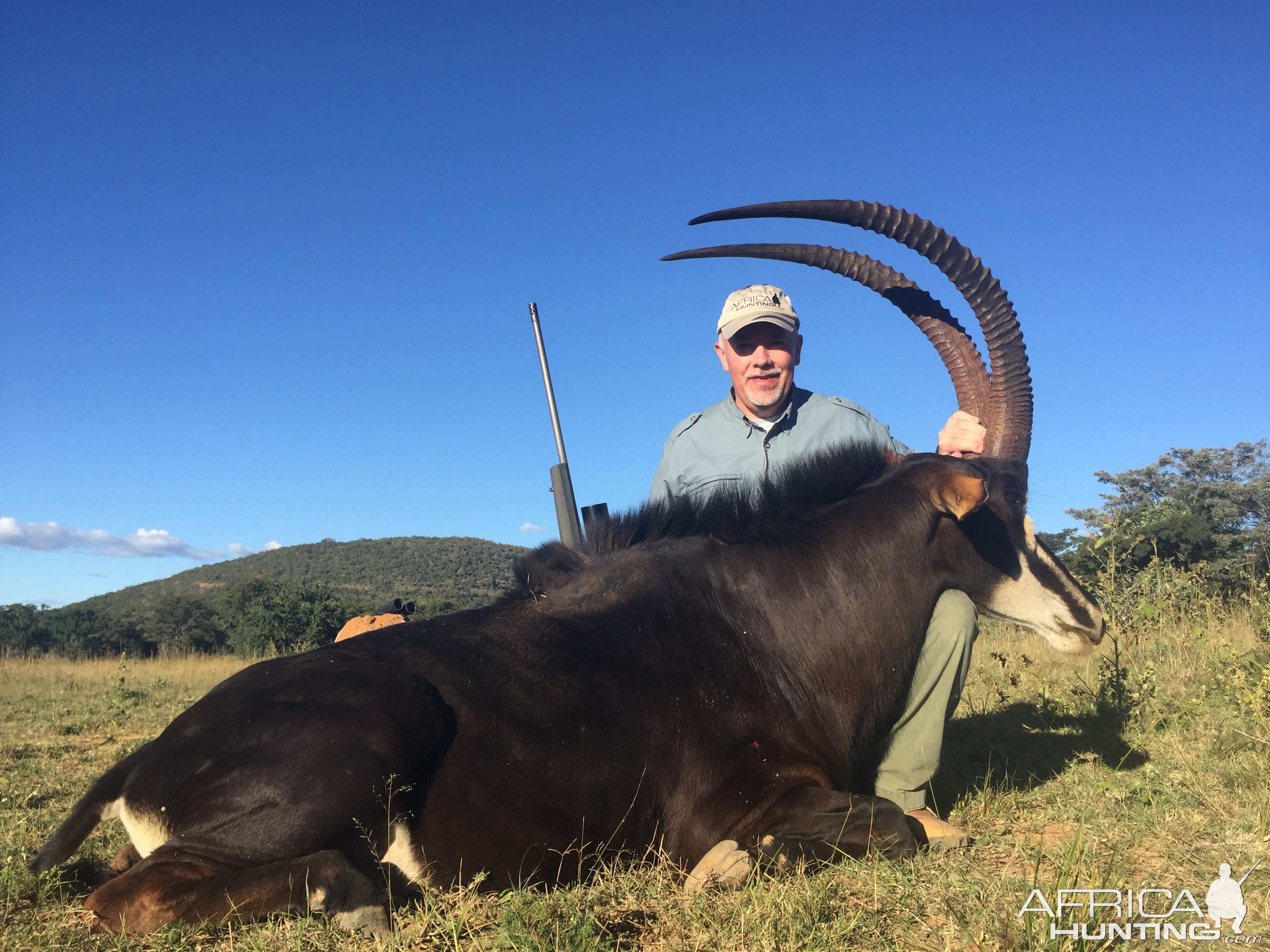 Sable Hunting South Africa