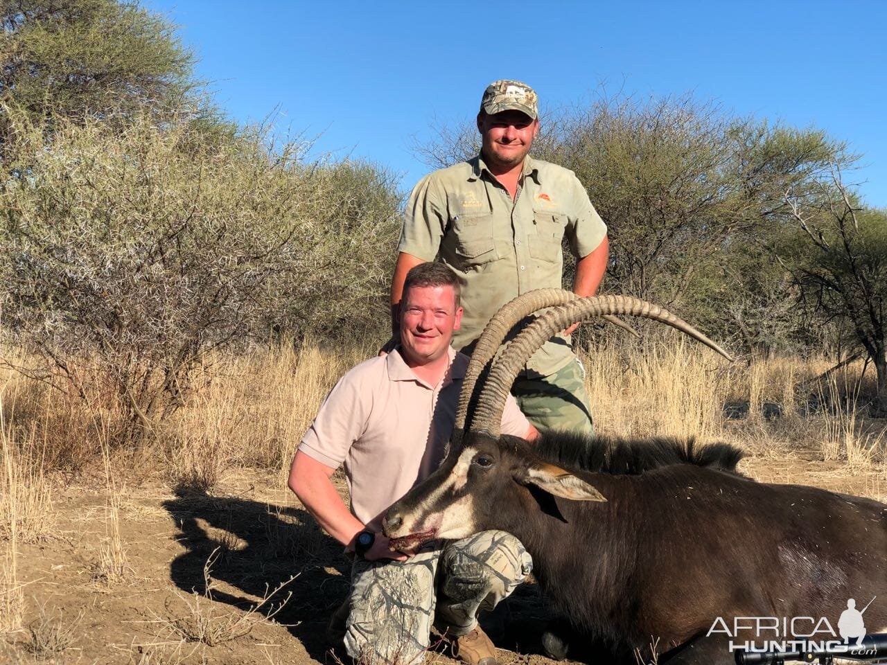 Sable Hunting South Africa