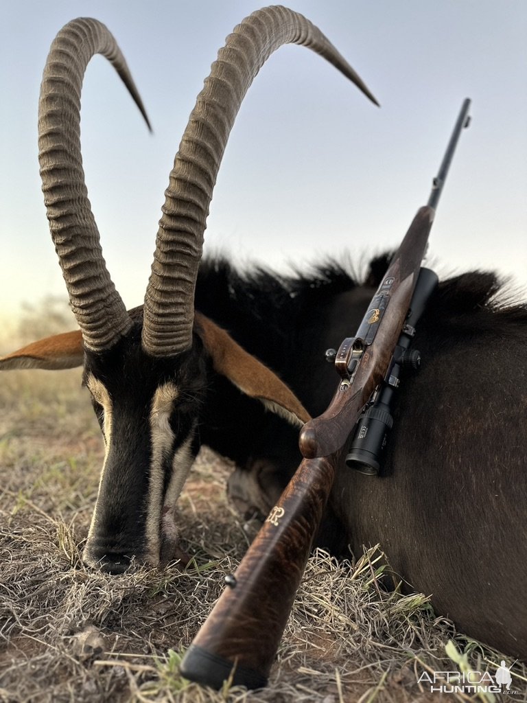 Sable Hunting