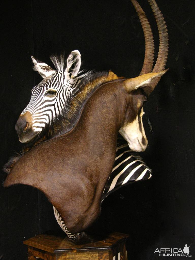 Sable & Zebra Pedestal Custom Base Taxidermy