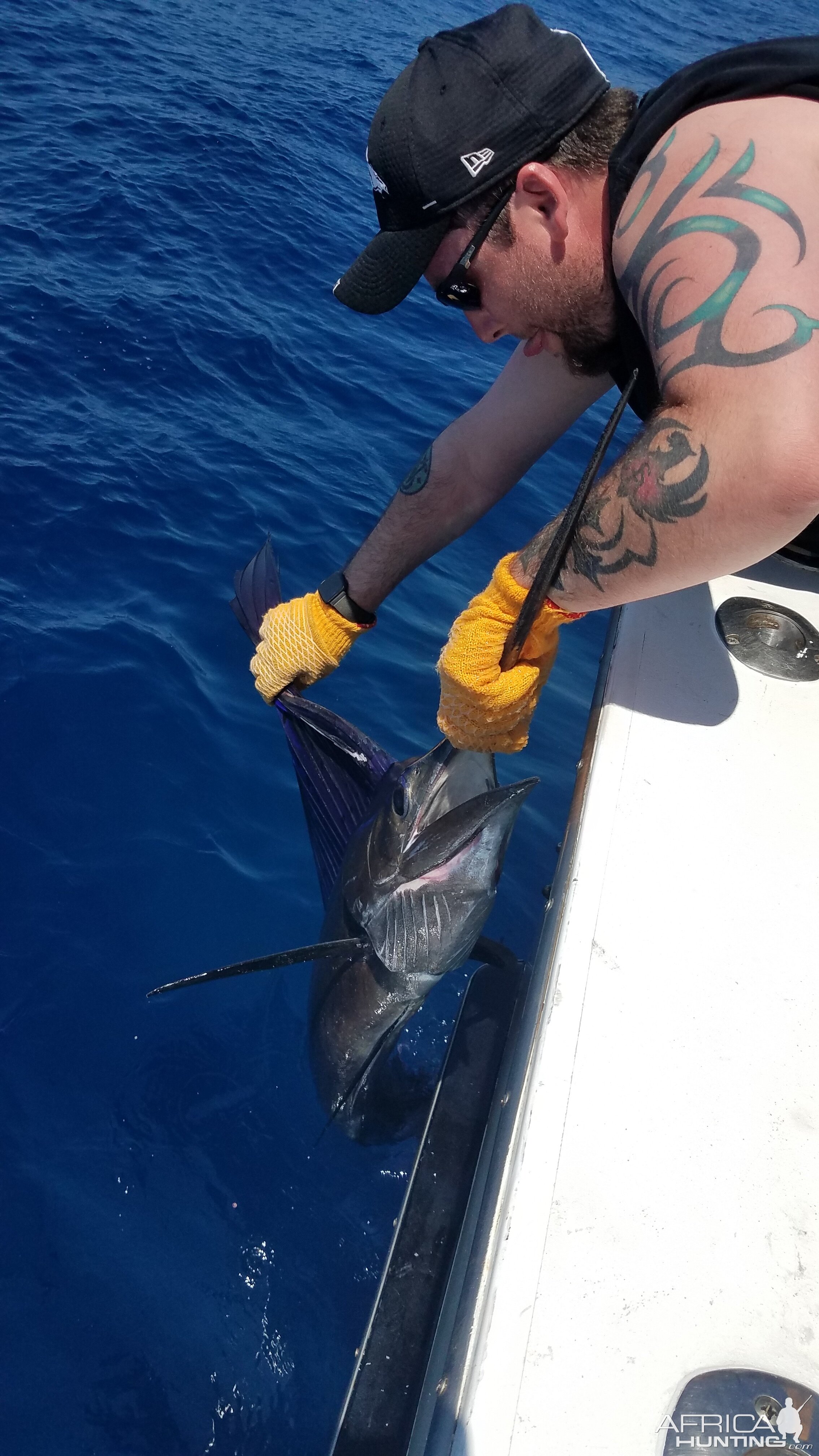 Sailfish Fishing Costa Rica