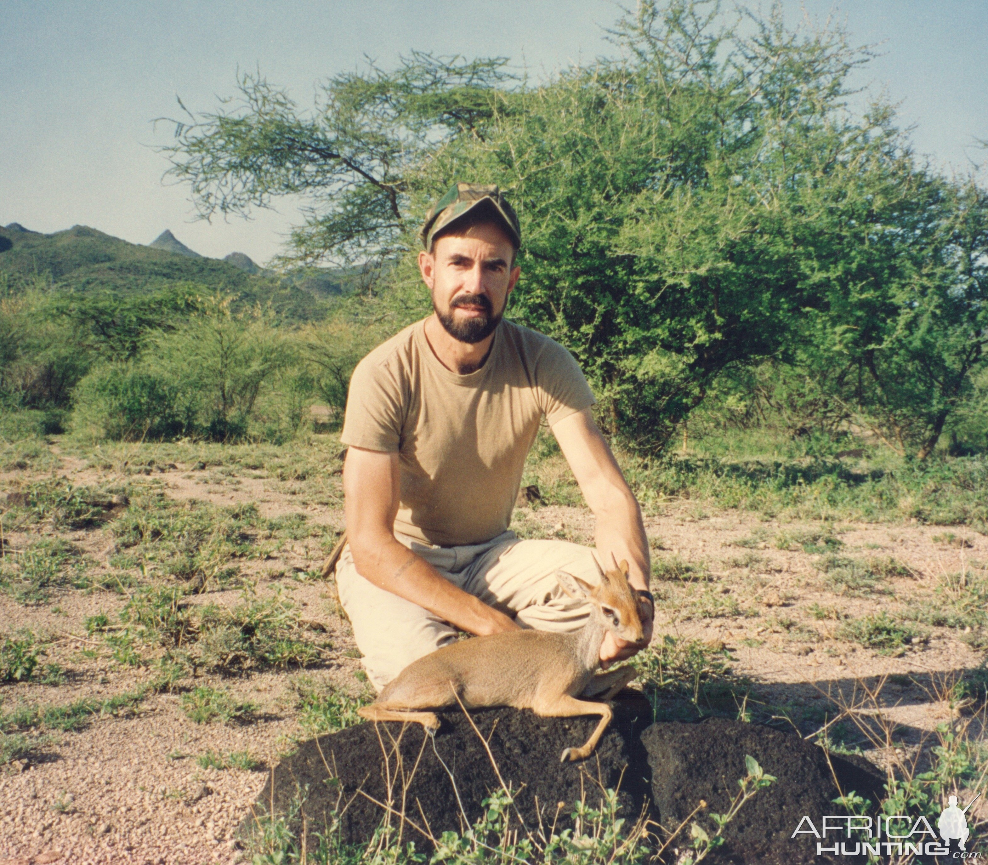 Salt's Dik-Dik Hunt Awash, Ethiopia